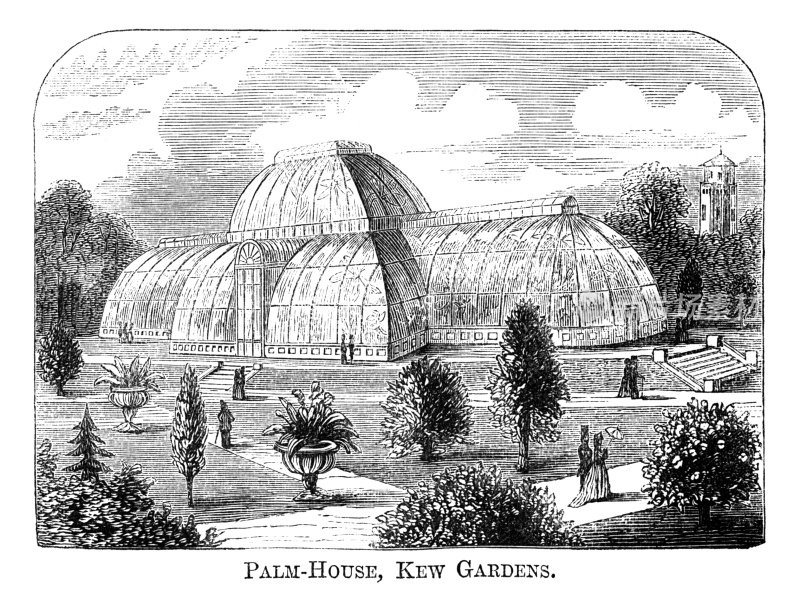 The Palm House at Kew Gardens (1871 engraving)